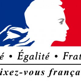 Mixez vous français ?