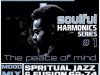 Soulful Harmonics series 1 - Stamina JazzDj